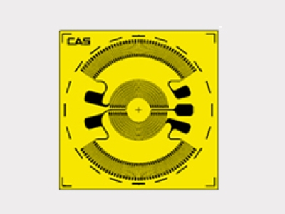 韓國CAS凱士Diaphragm D-Series  應(yīng)變器